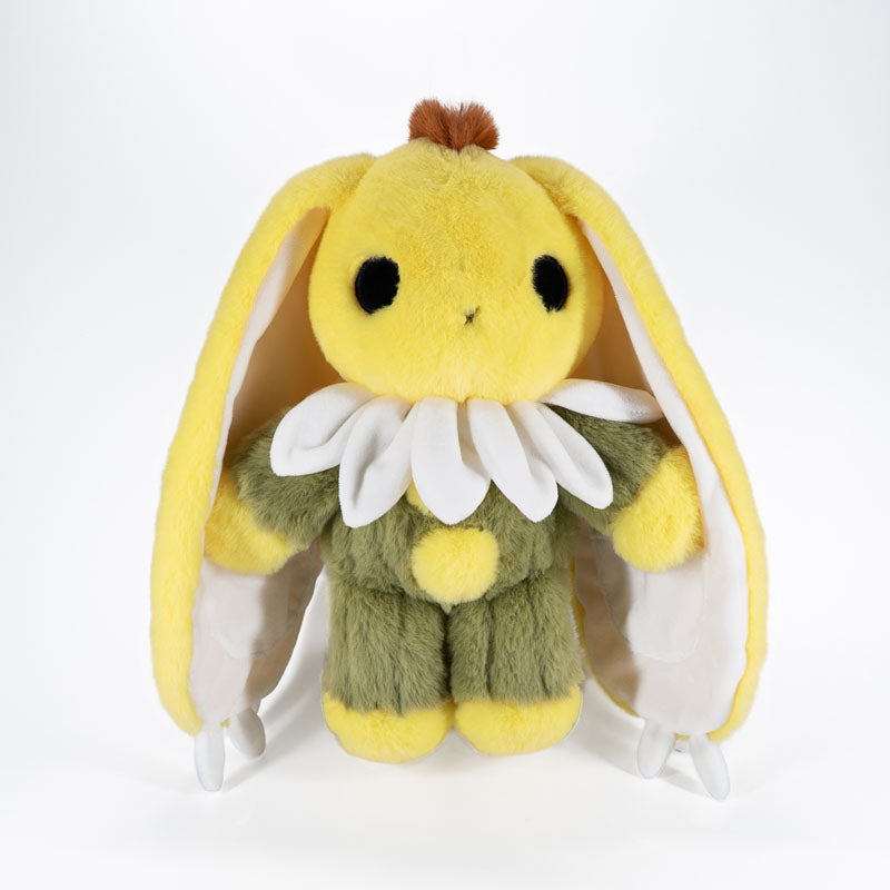 Research Notes: Daisies