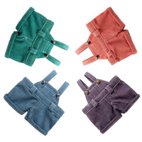 Load image into Gallery viewer, Mini Plush Outfit - Sherbet Overalls accessory
