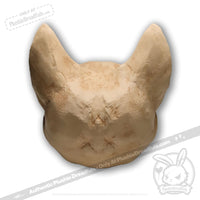 Load image into Gallery viewer, Scruffy Bumps Palm Skull - Mysterious
