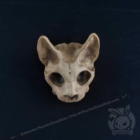 Load image into Gallery viewer, Scruffy Bumps Palm Skull - Mysterious
