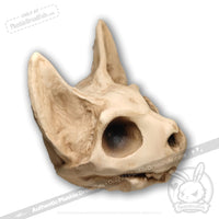 Load image into Gallery viewer, Scruffy Bumps Palm Skull - Mysterious
