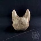 Scruffy Bumps Palm Skull - Mysterious