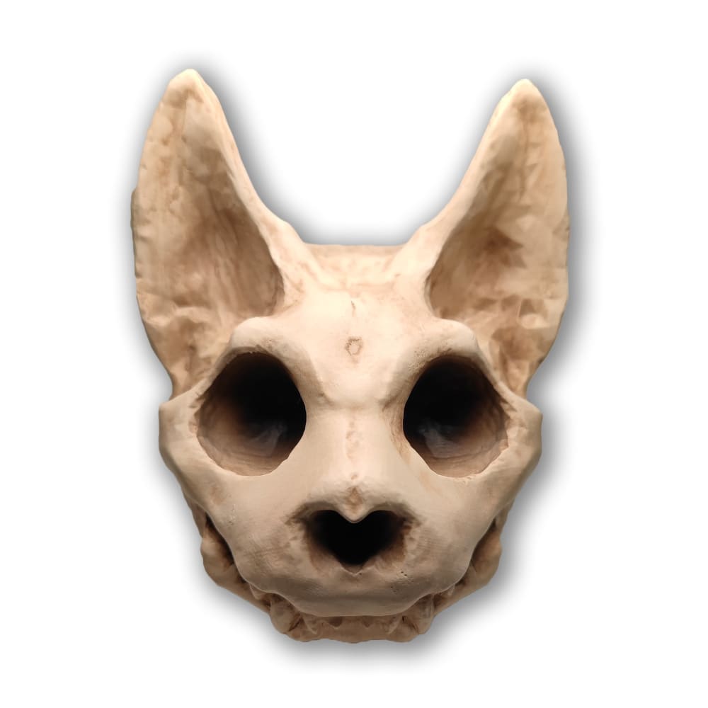 Scruffy Bumps Palm Skull - Mysterious