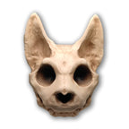 Scruffy Bumps Palm Skull - Mysterious