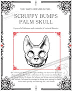 Scruffy Bumps Palm Skull - Mysterious