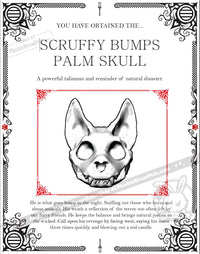 Load image into Gallery viewer, Scruffy Bumps Palm Skull - Mysterious
