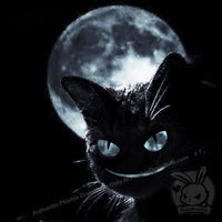 Load image into Gallery viewer, Scruffy Bumps Palm Skull - Mysterious
