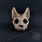 Scruffy Bumps Palm Skull - Mysterious