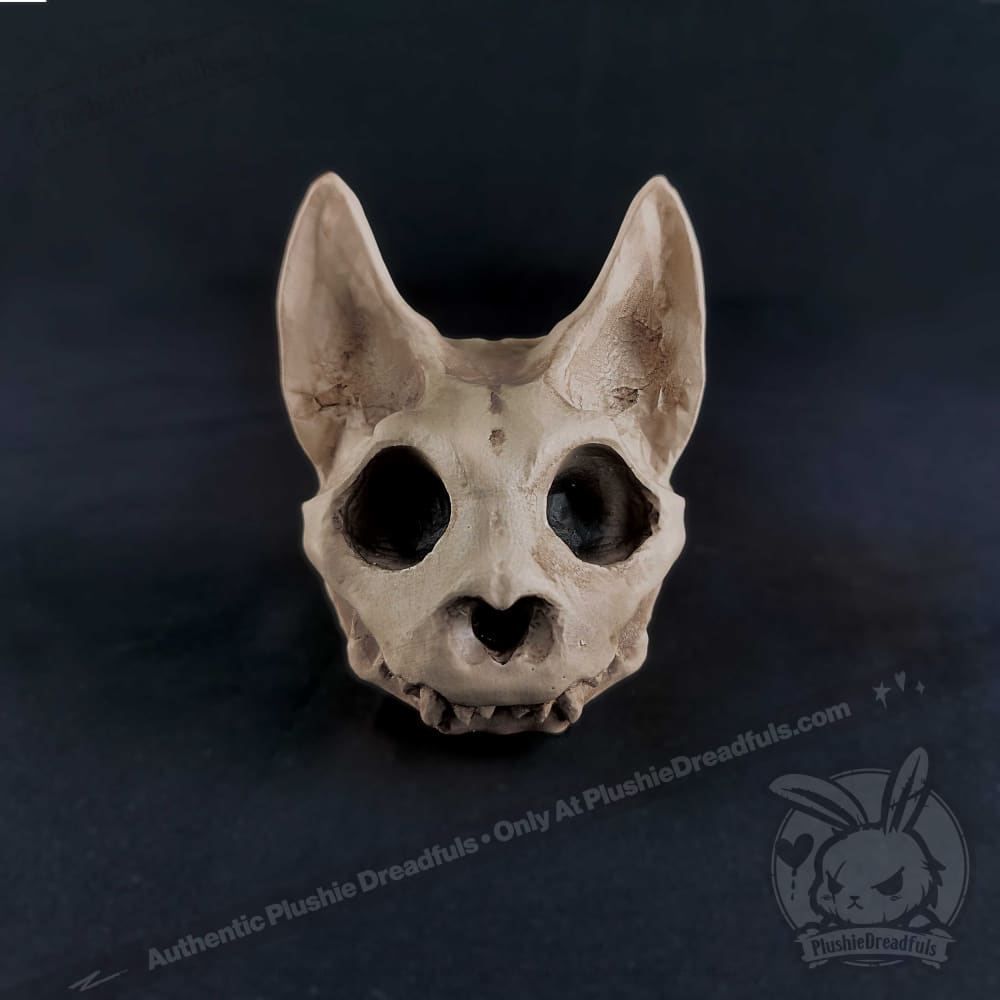 Scruffy Bumps Palm Skull - Mysterious