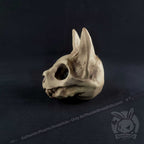 Scruffy Bumps Palm Skull - Mysterious