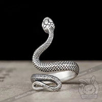 Load image into Gallery viewer, Silver Snake Set - Mysterious
